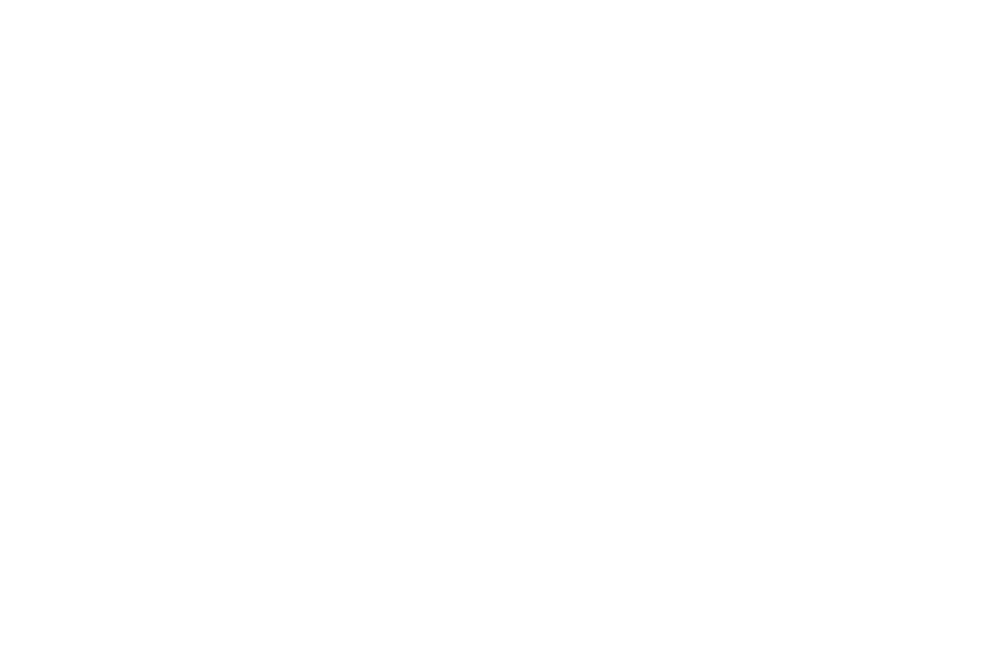 Sans Souci Festival of Dance Cinema official selection laurel