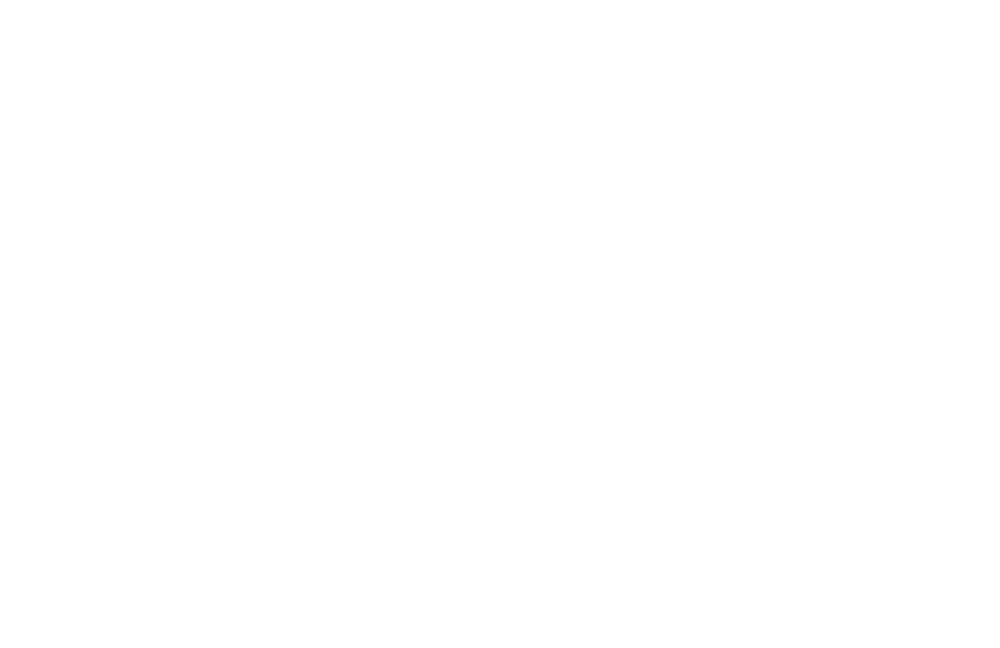 Silver Screen Film Festival official selection laurel
